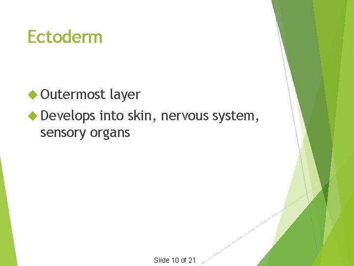 Ectoderm Outermost layer Develops into skin, nervous system, sensory organs Slide 10 of 21