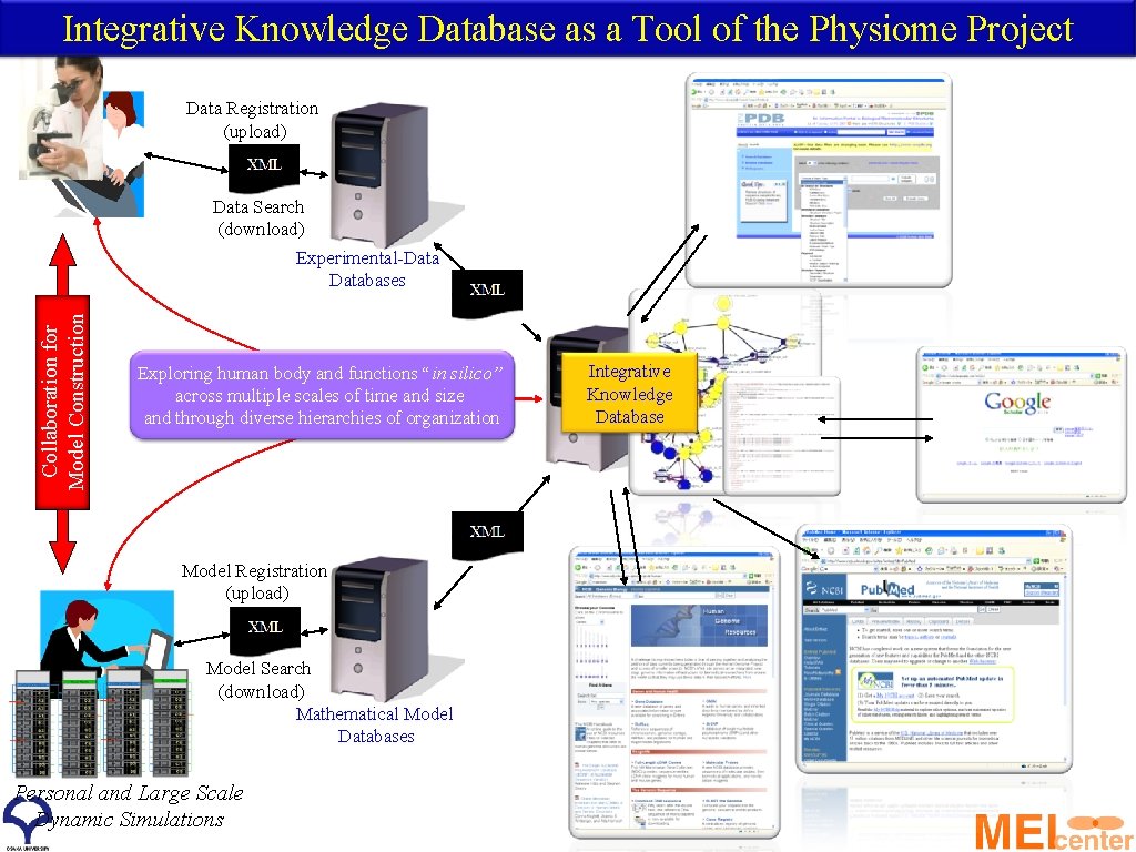 Integrative Knowledge Database as a Tool of the Physiome Project Data Registration (upload) Data
