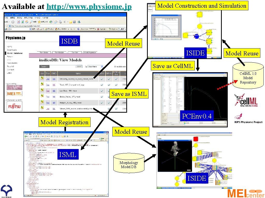 Available at http: //www. physiome. jp ISDB Model Construction and Simulation Model Reuse ISIDE