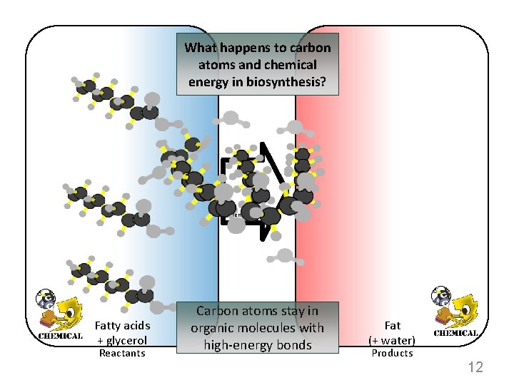 What happens to carbon atoms and chemical energy in biosynthesis? Chemical change Fatty acids