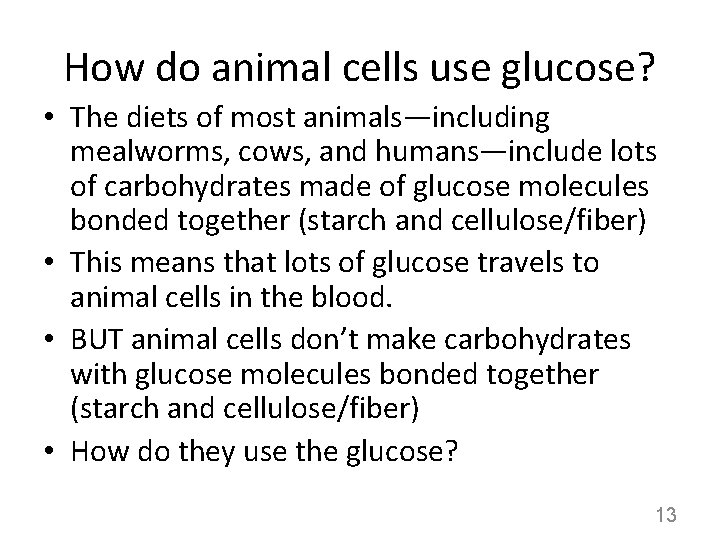 How do animal cells use glucose? • The diets of most animals—including mealworms, cows,