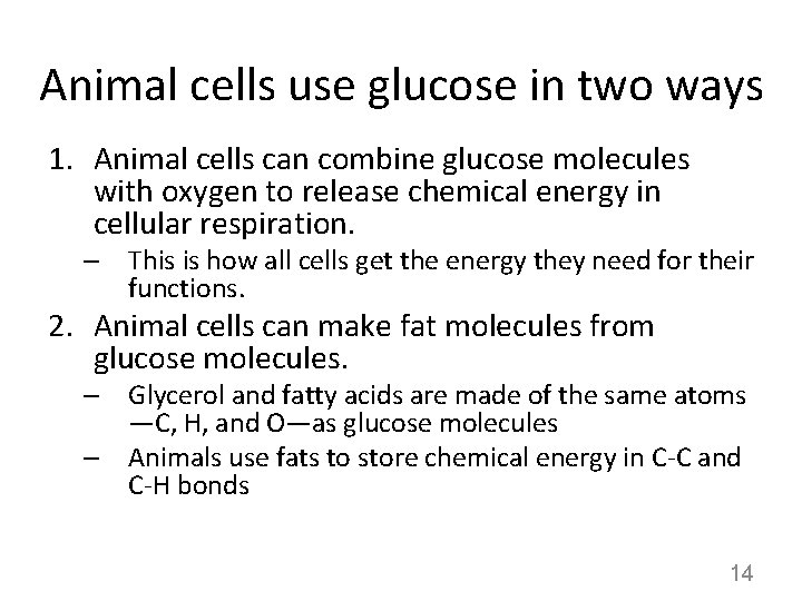 Animal cells use glucose in two ways 1. Animal cells can combine glucose molecules