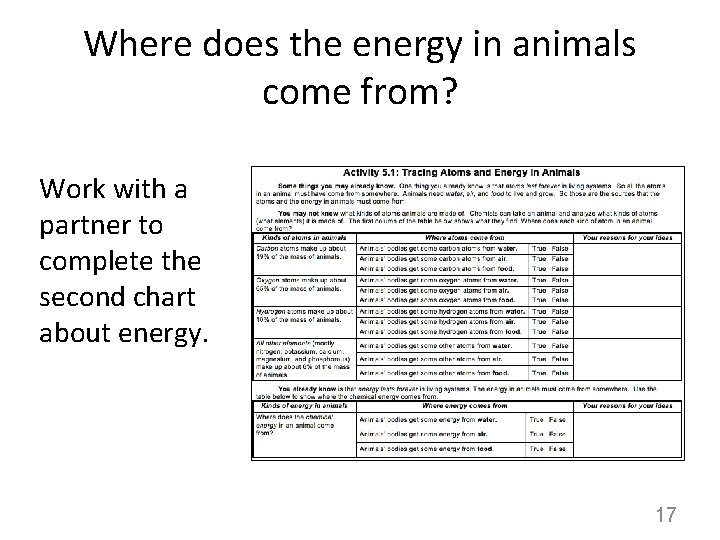 Where does the energy in animals come from? Work with a partner to complete