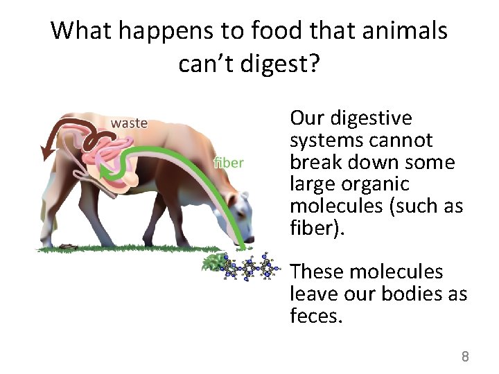 What happens to food that animals can’t digest? Our digestive systems cannot break down
