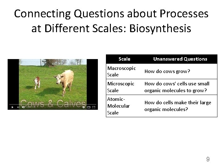 Connecting Questions about Processes at Different Scales: Biosynthesis Scale Unanswered Questions Macroscopic Scale How