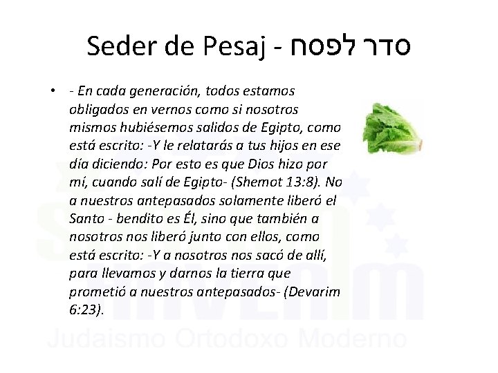 Seder de Pesaj - סדר לפסח • - En cada generación, todos estamos obligados