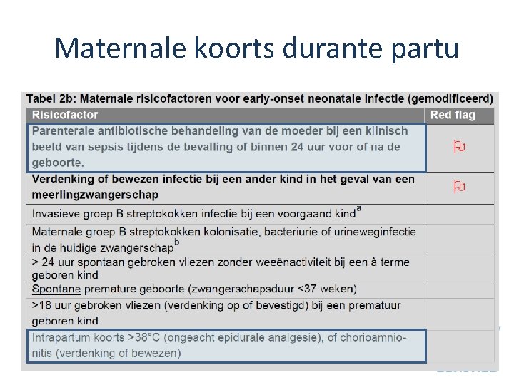 Maternale koorts durante partu 