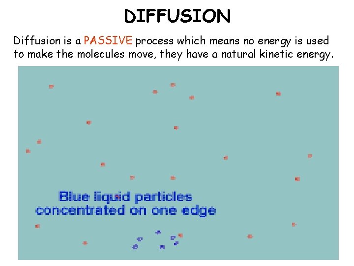 DIFFUSION Diffusion is a PASSIVE process which means no energy is used to make