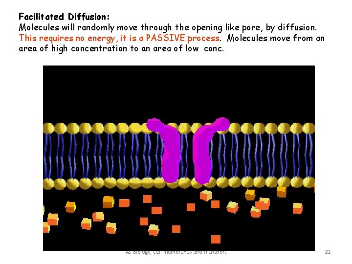 Facilitated Diffusion: Molecules will randomly move through the opening like pore, by diffusion. This