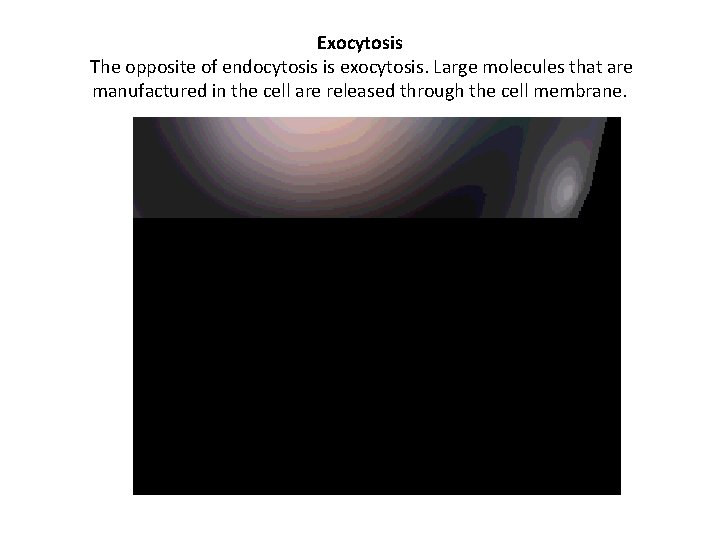 Exocytosis The opposite of endocytosis is exocytosis. Large molecules that are manufactured in the