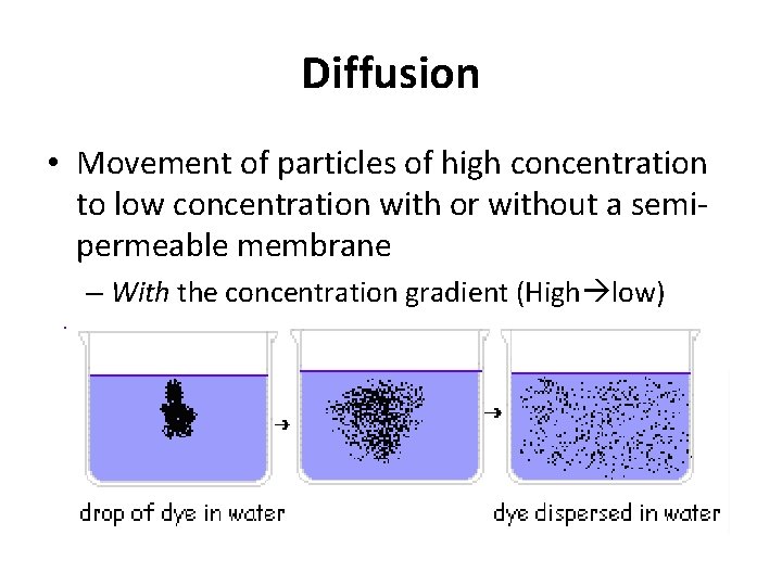 Diffusion • Movement of particles of high concentration to low concentration with or without