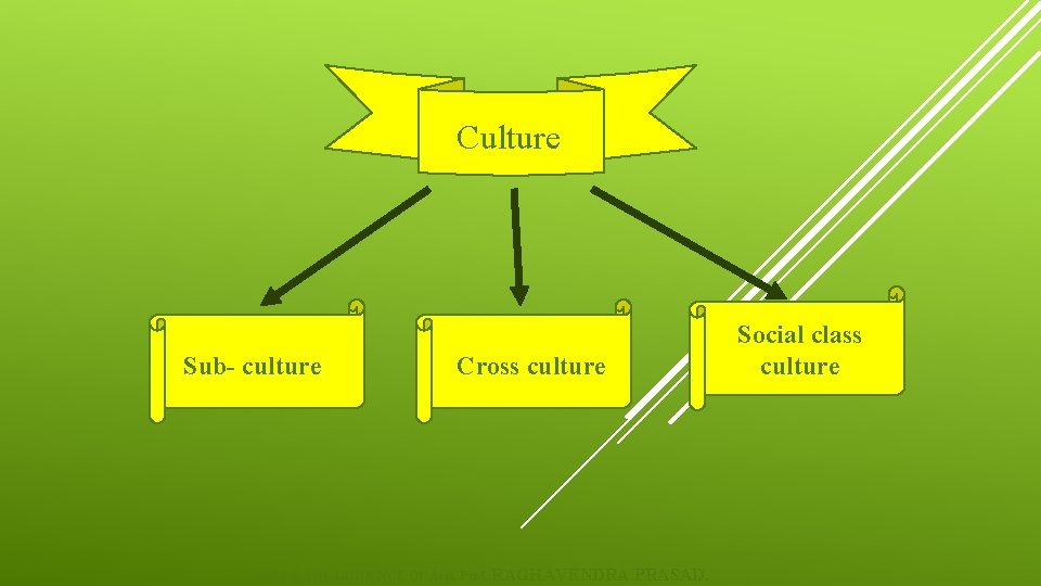 Culture Sub- culture Social class culture Cross culture UNDER THE GUIDENCE OF Asst. Prof.