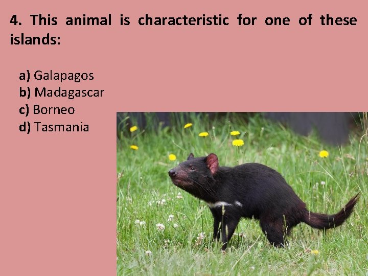 4. This animal is characteristic for one of these islands: a) Galapagos b) Madagascar
