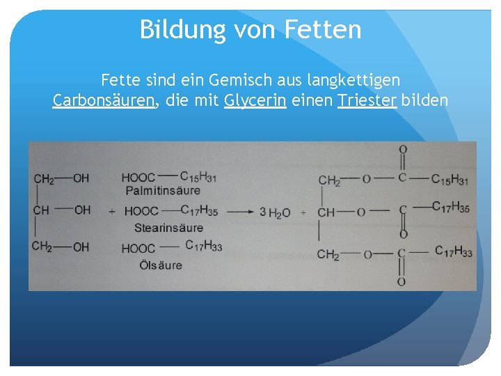 Bildung von Fette sind ein Gemisch aus langkettigen Carbonsäuren, die mit Glycerin einen Triester