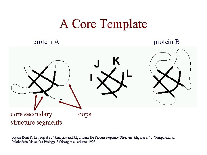 A Core Template protein A core secondary structure segments protein B loops Figure from