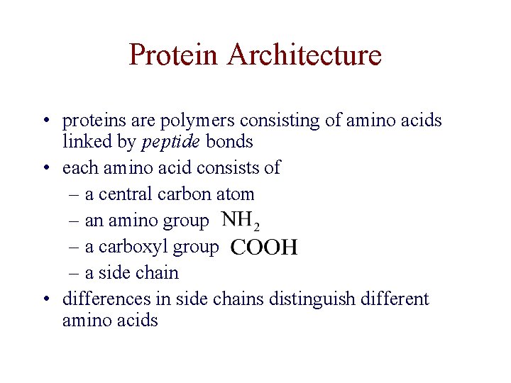 Protein Architecture • proteins are polymers consisting of amino acids linked by peptide bonds