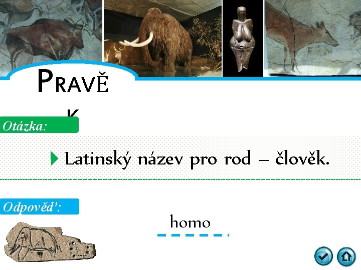 PRAVĚ Otázka: K Latinský název pro rod – člověk. Odpověď: homo 