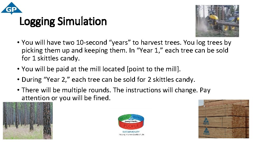 Logging Simulation • You will have two 10 -second “years” to harvest trees. You