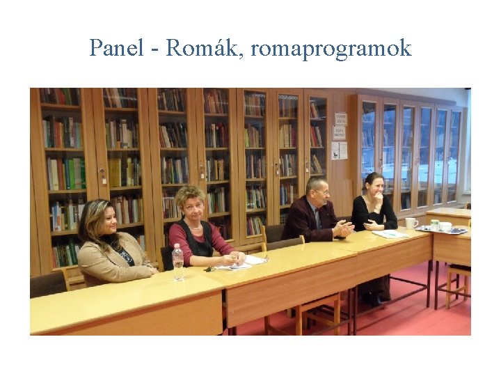 Panel - Romák, romaprogramok 