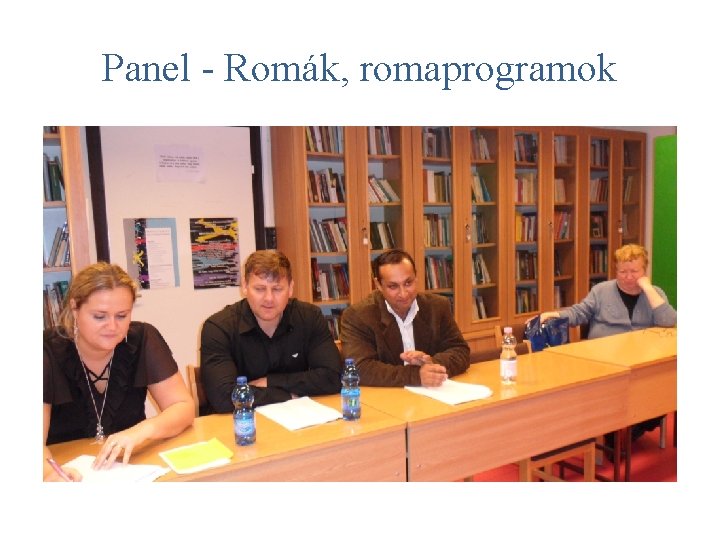 Panel - Romák, romaprogramok 