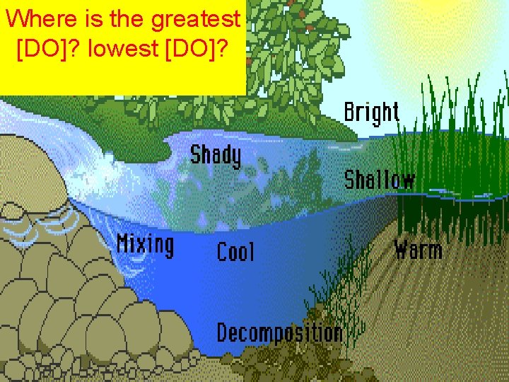 Where is the greatest [DO]? lowest [DO]? 