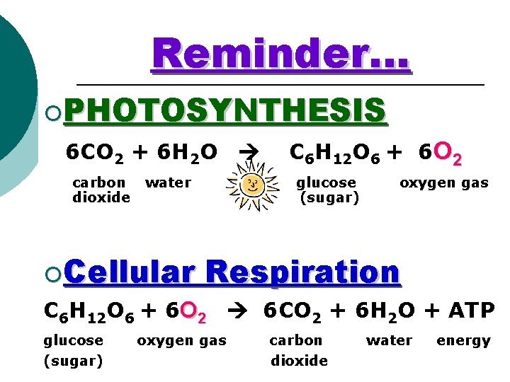 Reminder… ¡PHOTOSYNTHESIS 6 CO 2 + 6 H 2 O carbon dioxide water ¡Cellular