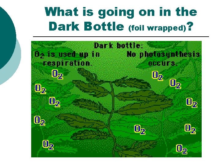 What is going on in the Dark Bottle (foil wrapped)? ¡ 