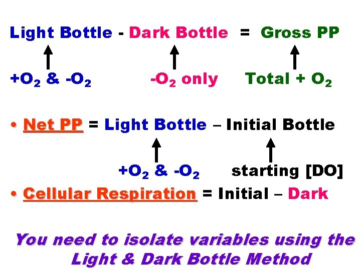 Light Bottle - Dark Bottle = Gross PP +O 2 & -O 2 only