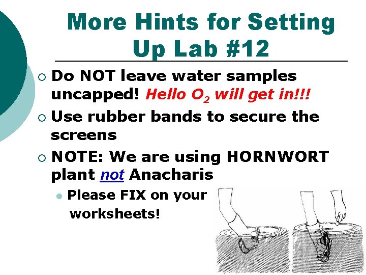 More Hints for Setting Up Lab #12 Do NOT leave water samples uncapped! Hello