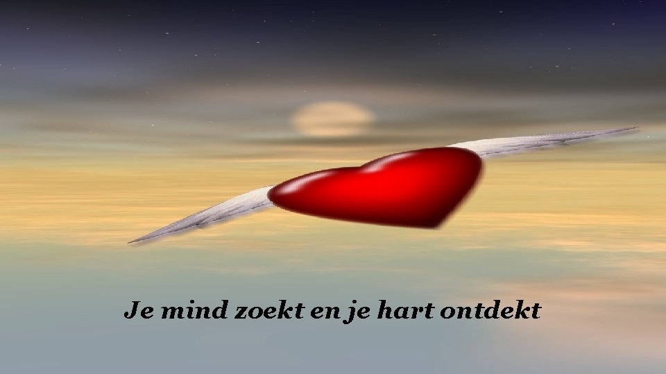 Je mind zoekt en je hart ontdekt 