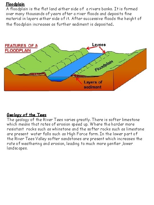 Floodplain A floodplain is the flat land either side of a rivers banks. It