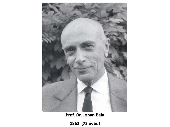 Prof. Dr. Johan Béla 1962 (73 éves ) 