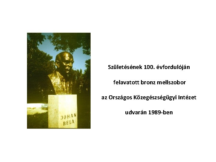 Születésének 100. évfordulóján felavatott bronz mellszobor az Országos Közegészségügyi Intézet udvarán 1989 -ben 