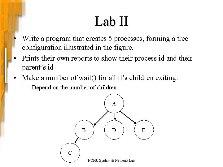 Lab II • Write a program that creates 5 processes, forming a tree configuration