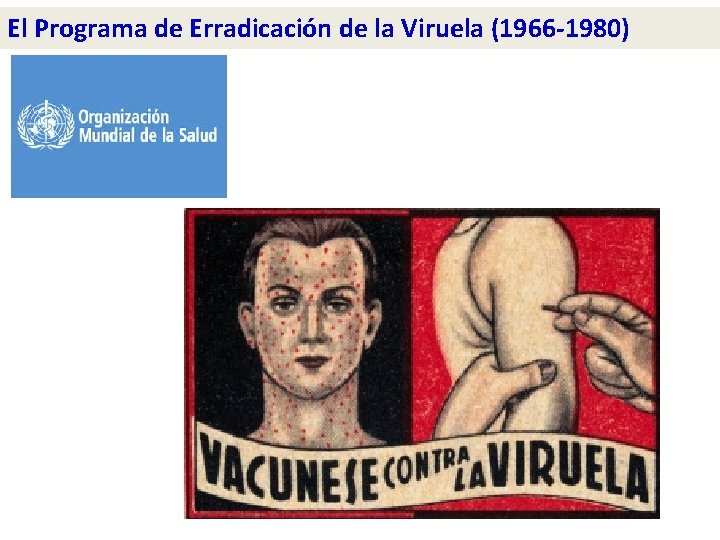 El Programa de Erradicación de la Viruela (1966 -1980) 