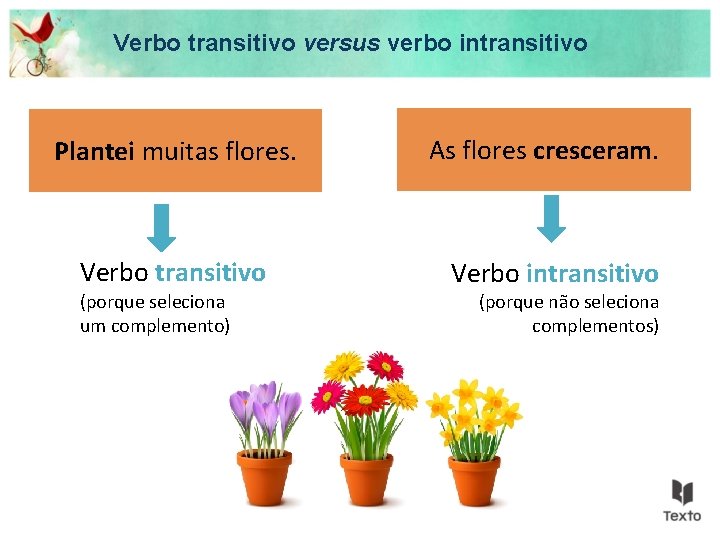 Verbo transitivo versus verbo intransitivo Plantei muitas flores. Verbo transitivo (porque seleciona um complemento)