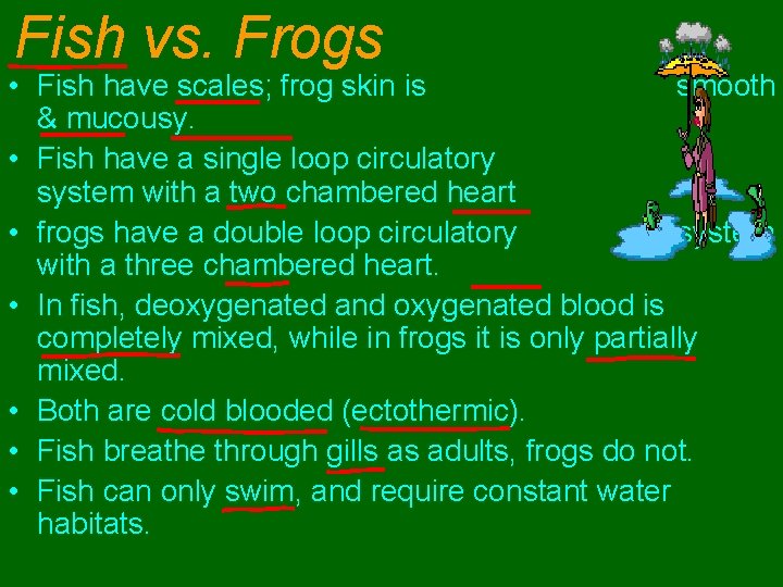 Fish vs. Frogs • Fish have scales; frog skin is smooth & mucousy. •