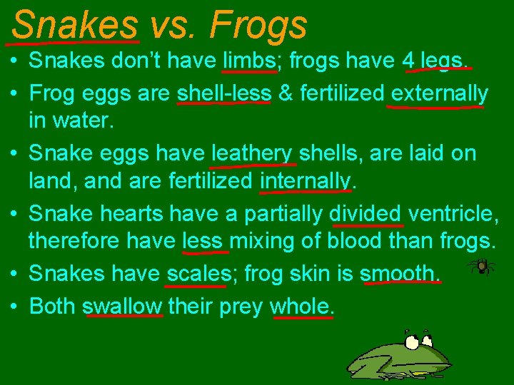 Snakes vs. Frogs • Snakes don’t have limbs; frogs have 4 legs. • Frog