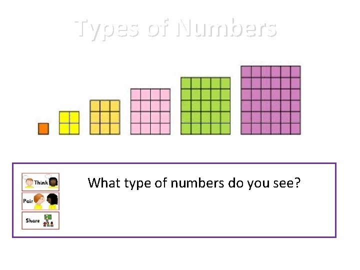 Types of Numbers What type of numbers do you see? 