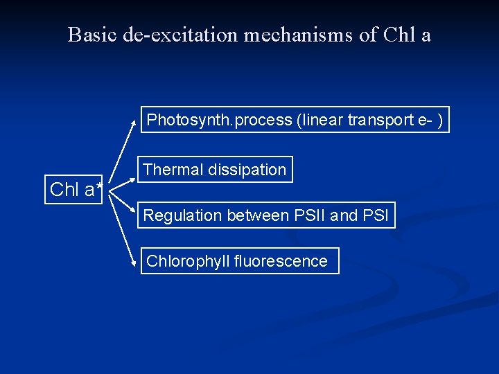 Basic de-excitation mechanisms of Chl a Photosynth. process (linear transport e- ) Chl a*