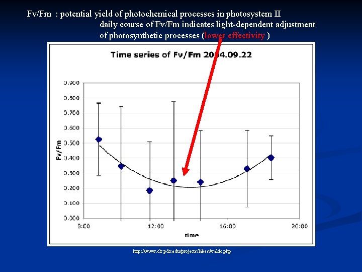 Fv/Fm : potential yield of photochemical processes in photosystem II daily course of Fv/Fm