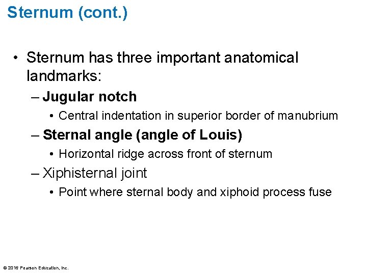 Sternum (cont. ) • Sternum has three important anatomical landmarks: – Jugular notch •