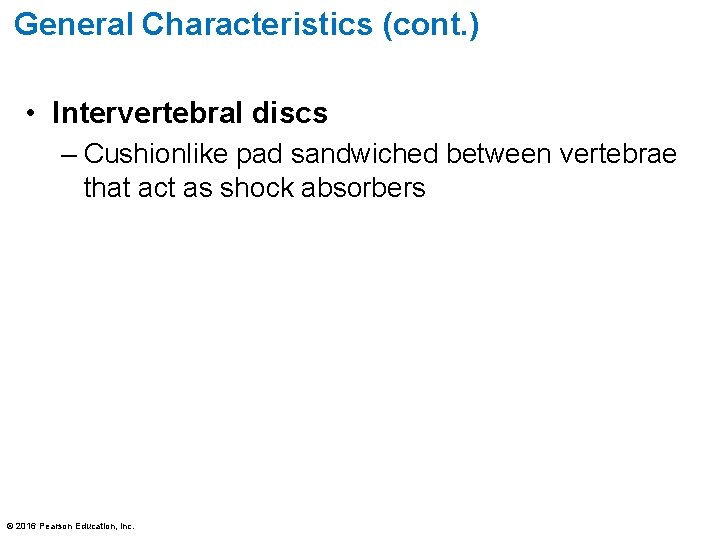 General Characteristics (cont. ) • Intervertebral discs – Cushionlike pad sandwiched between vertebrae that