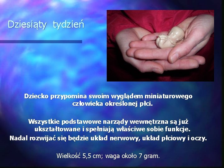 Dziesiąty tydzień Dziecko przypomina swoim wyglądem miniaturowego człowieka określonej płci. Wszystkie podstawowe narządy wewnętrzna