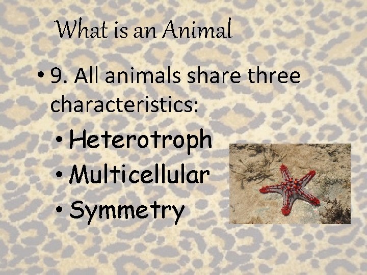 What is an Animal • 9. All animals share three characteristics: • Heterotroph •