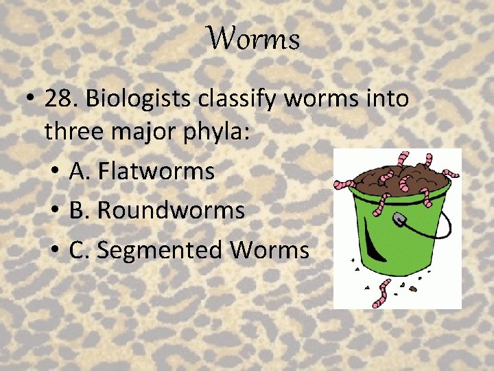 Worms • 28. Biologists classify worms into three major phyla: • A. Flatworms •