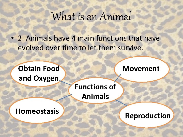 What is an Animal • 2. Animals have 4 main functions that have evolved