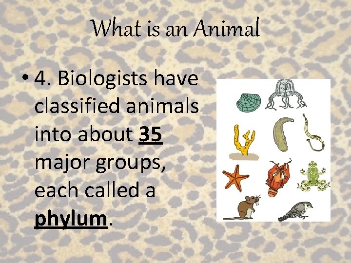 What is an Animal • 4. Biologists have classified animals into about 35 major