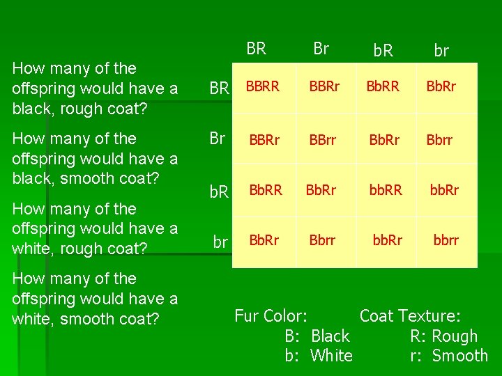 BR How many of the offspring would have a black, rough coat? How many BR How many of the offspring would have a black, rough coat? How many