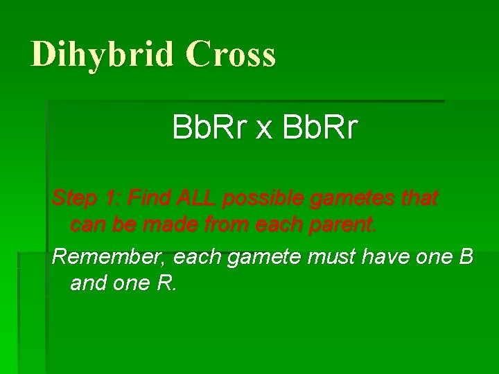Dihybrid Cross Bb. Rr x Bb. Rr Step 1: Find ALL possible gametes that Dihybrid Cross Bb. Rr x Bb. Rr Step 1: Find ALL possible gametes that